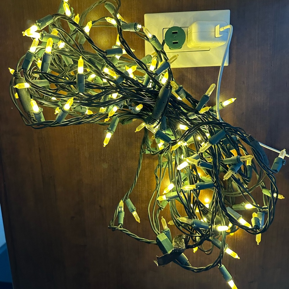 3 for $20 ✨String of Christmas Lights